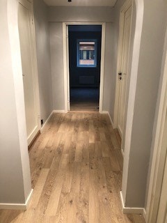 Gangen i leiligheten Galleribilde