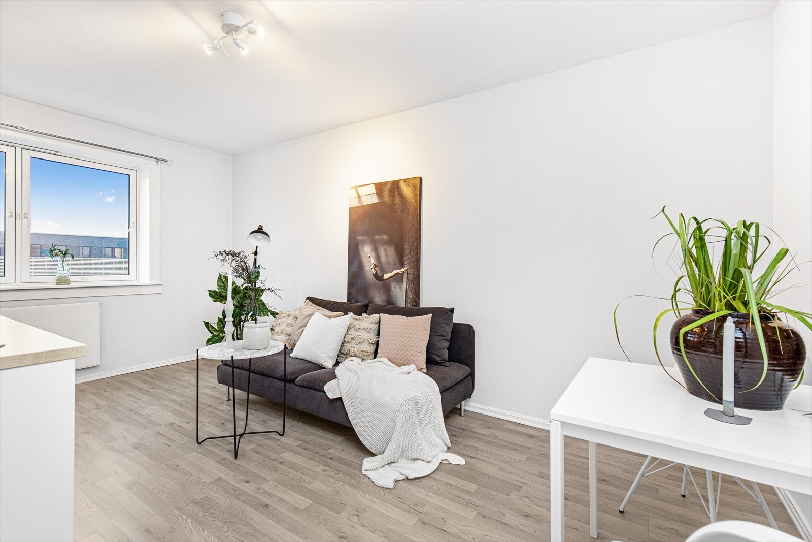 Mye naturlig lys Galleribilde