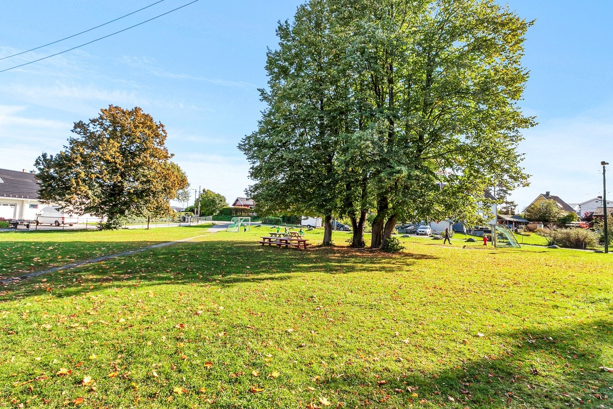 Høyenhallparken Galleribilde