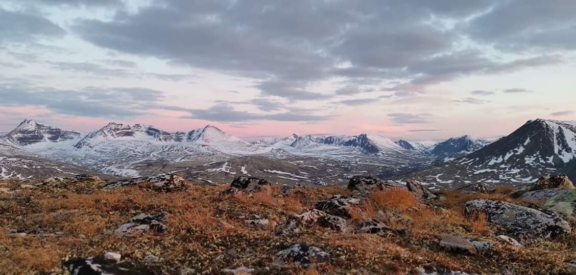 Bilder tatt av Arne Lohn Galleribilde