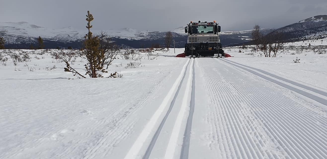 Bilder fra Folldal Turlag Galleribilde