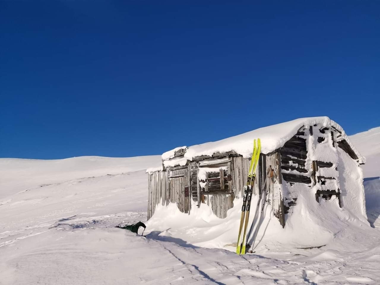 Bilder tatt av Arne Lohn Galleribilde