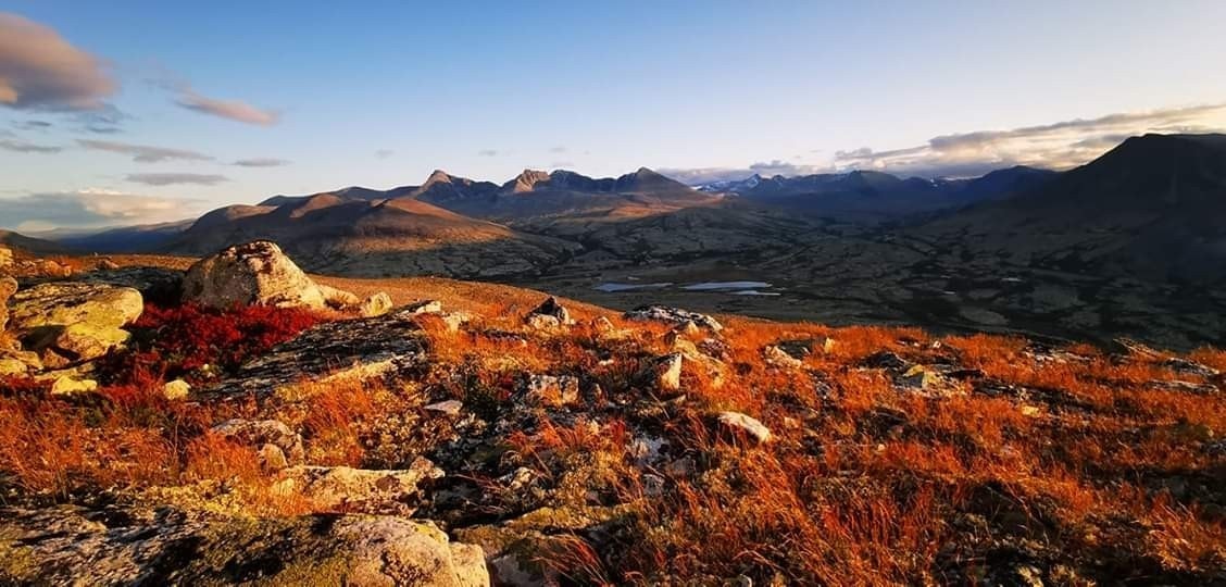 Bilder tatt av Arne Lohn Galleribilde