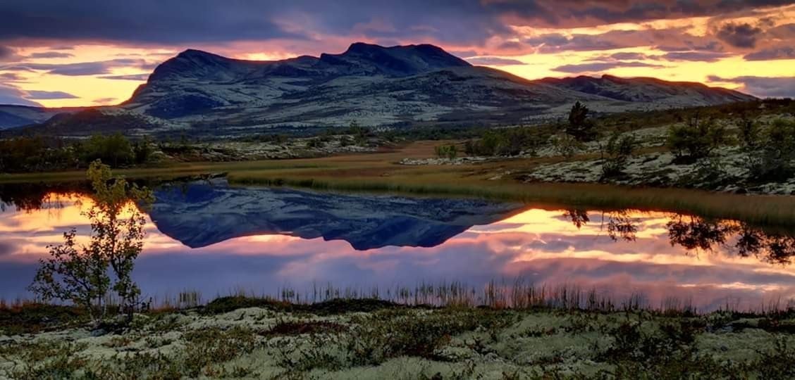 Bilder tatt av Arne Lohn Galleribilde