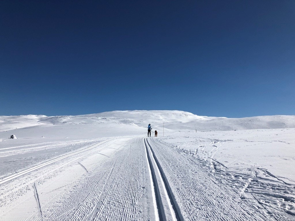 Godt løyenett med mange muligheter Galleribilde