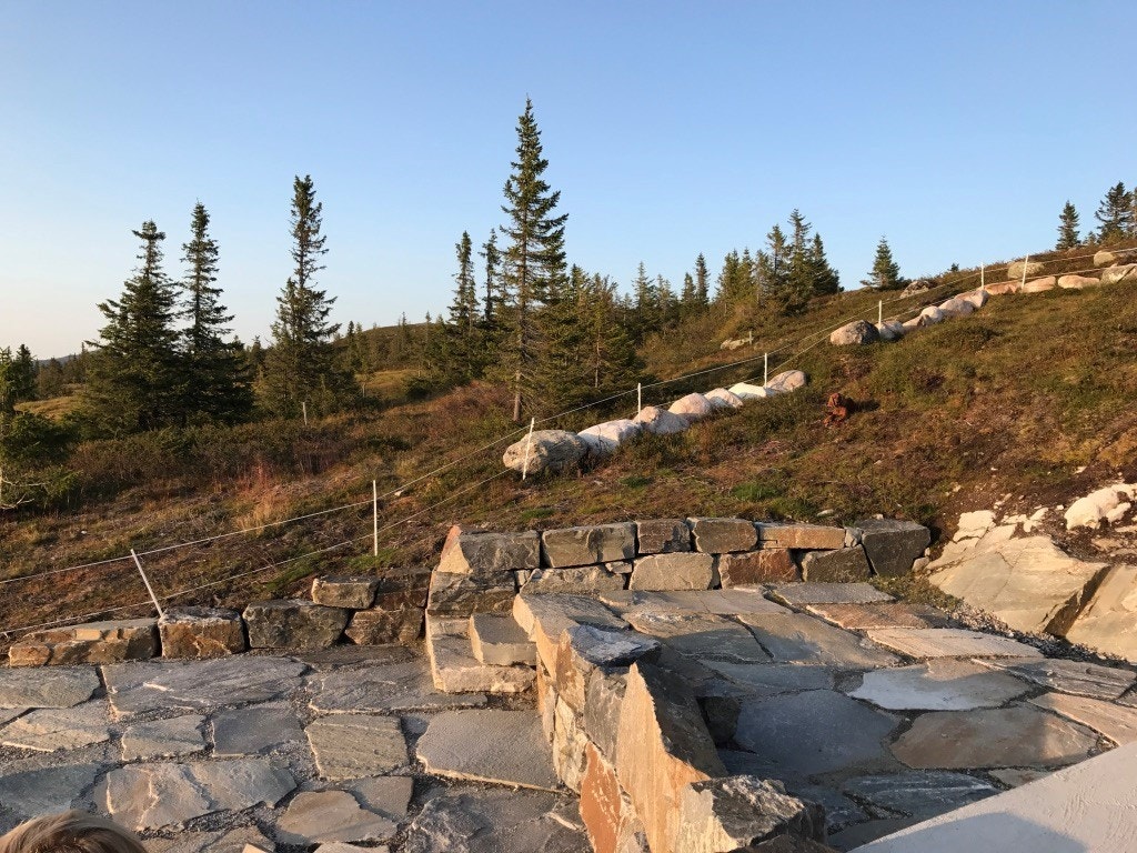 Stor steinlagt platting Galleribilde