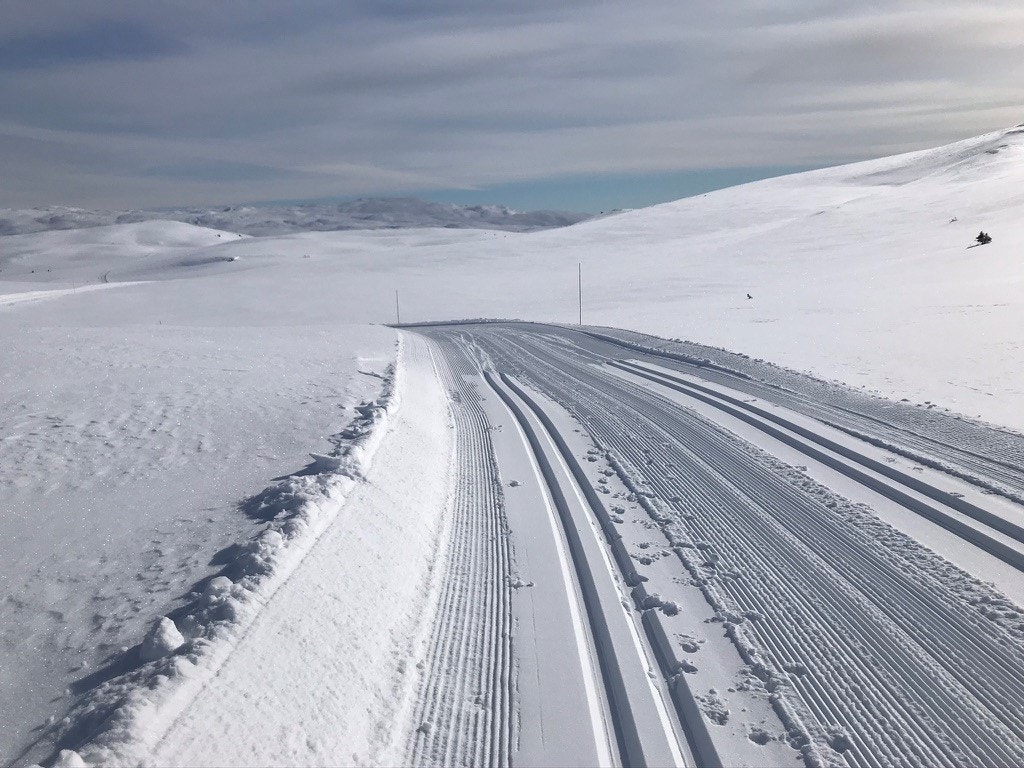 Lypenett Galleribilde