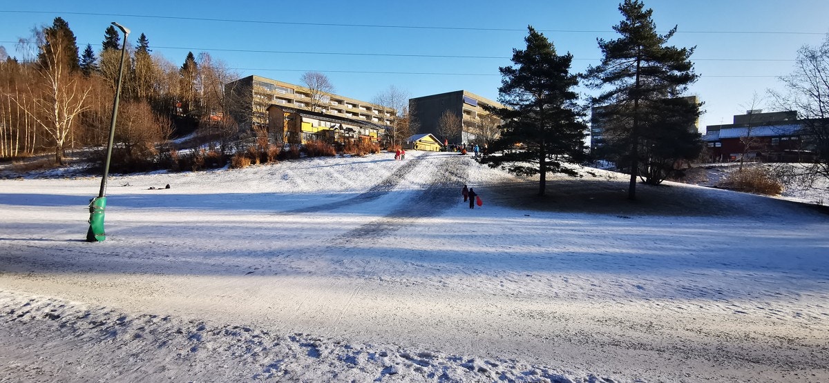 Om vinteren er det akebakke for de små i nærområdet. Galleribilde
