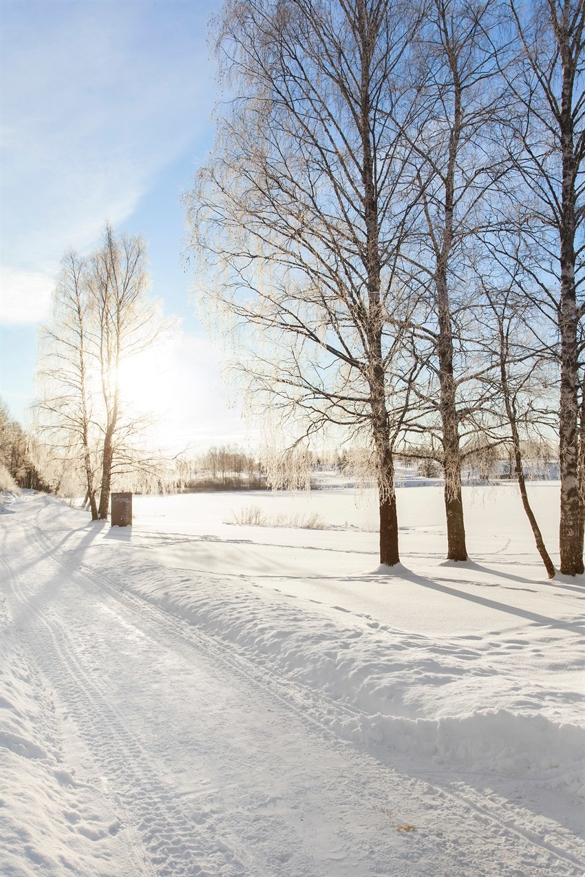 Nærhet til nydelig natur ved Bogstad. Galleribilde