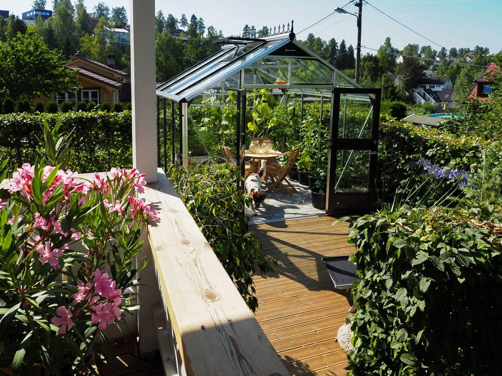 Sommerbilde Galleribilde