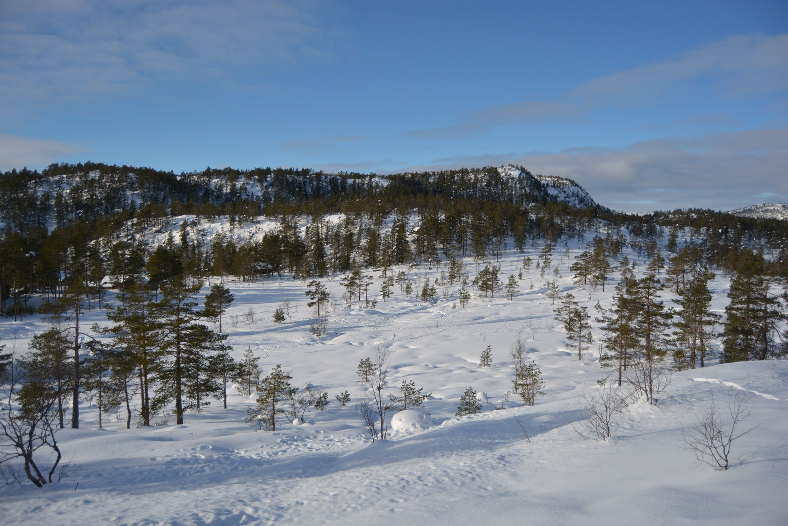 Utsikt tomt113 Galleribilde