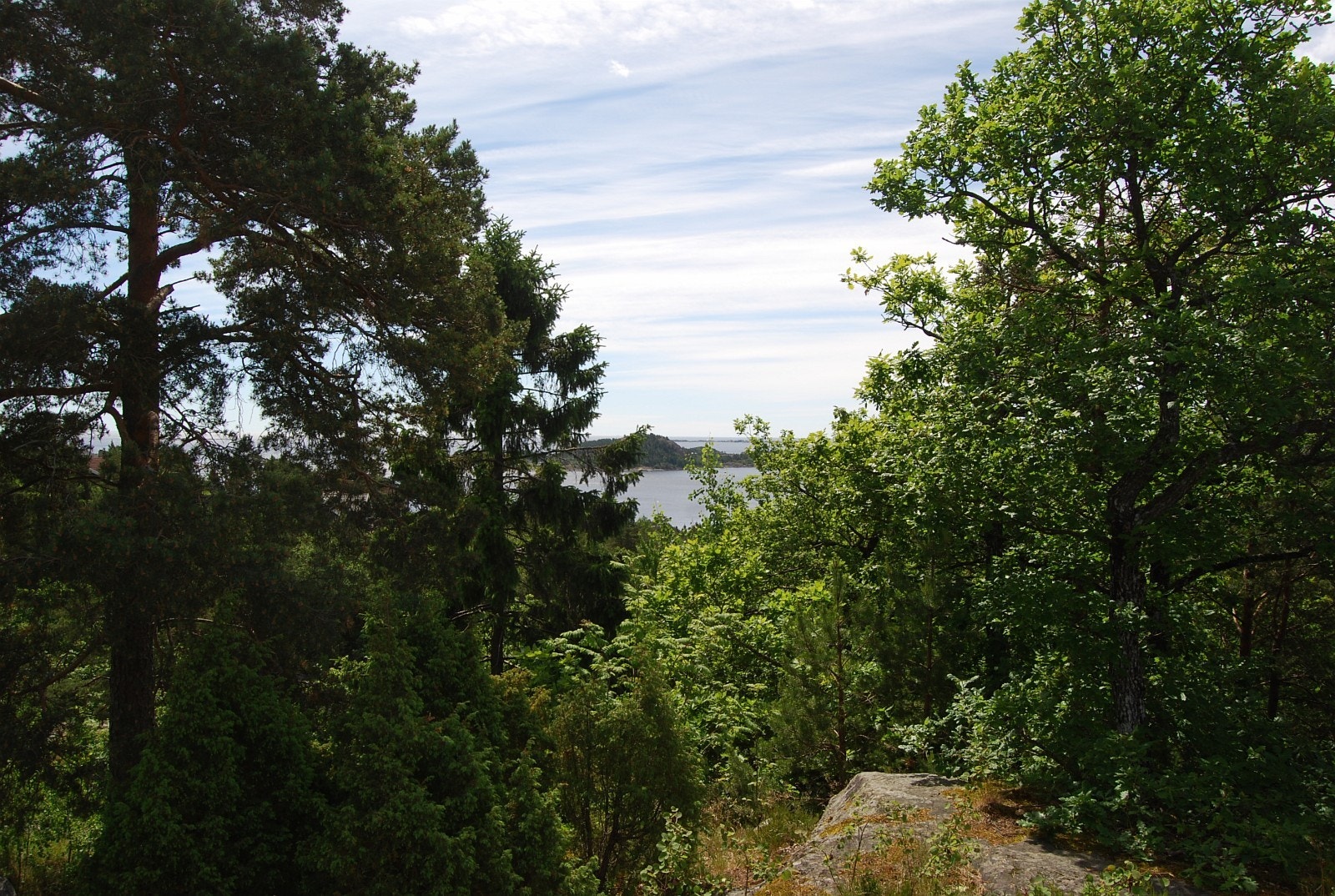Nærområde Galleribilde