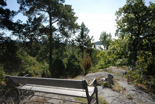 Nærområde Galleribilde
