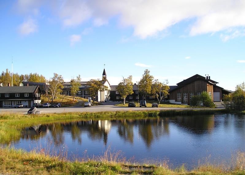 Skinnarbu sommer Galleribilde