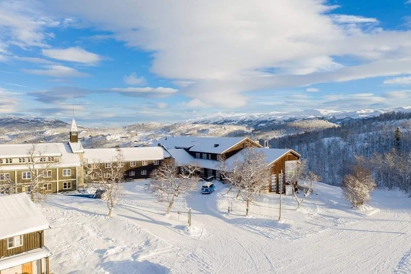 Skinnarbu Galleribilde