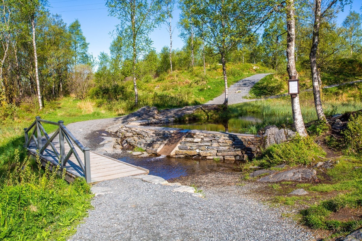Her kan man nyte fine sommerdager Galleribilde