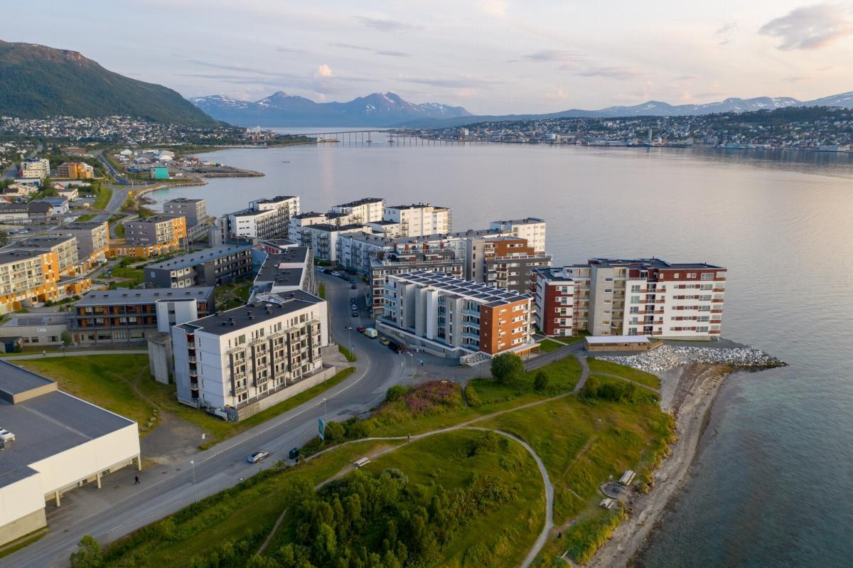 Området