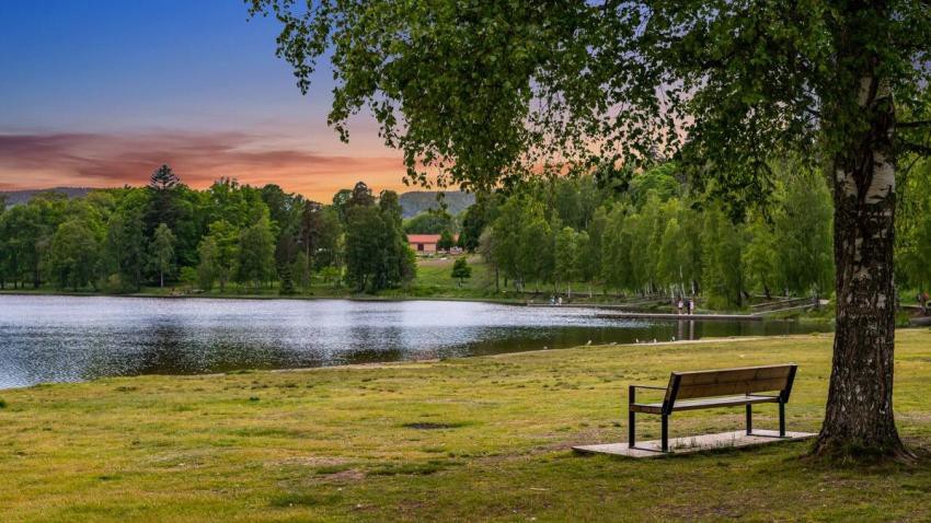 Bogstadvannet. Galleribilde