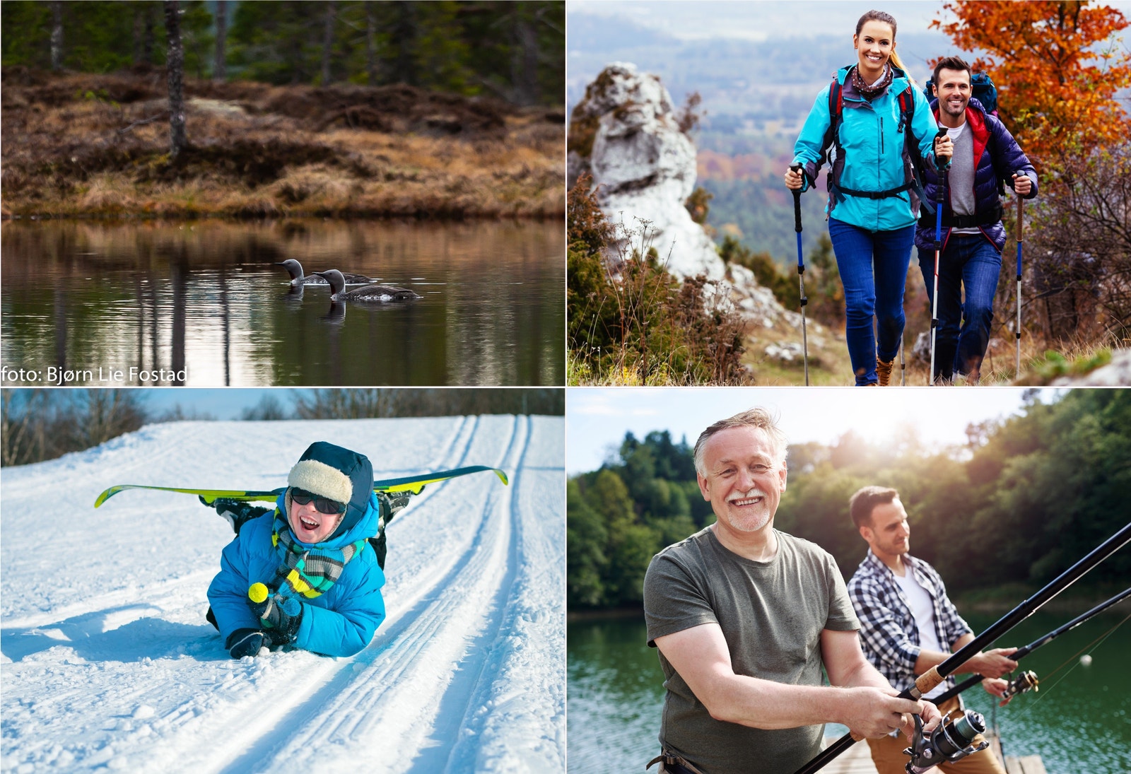 Flotte turområder sommer som vinter med turstier, skiløyper og flotte fiskevann Galleribilde