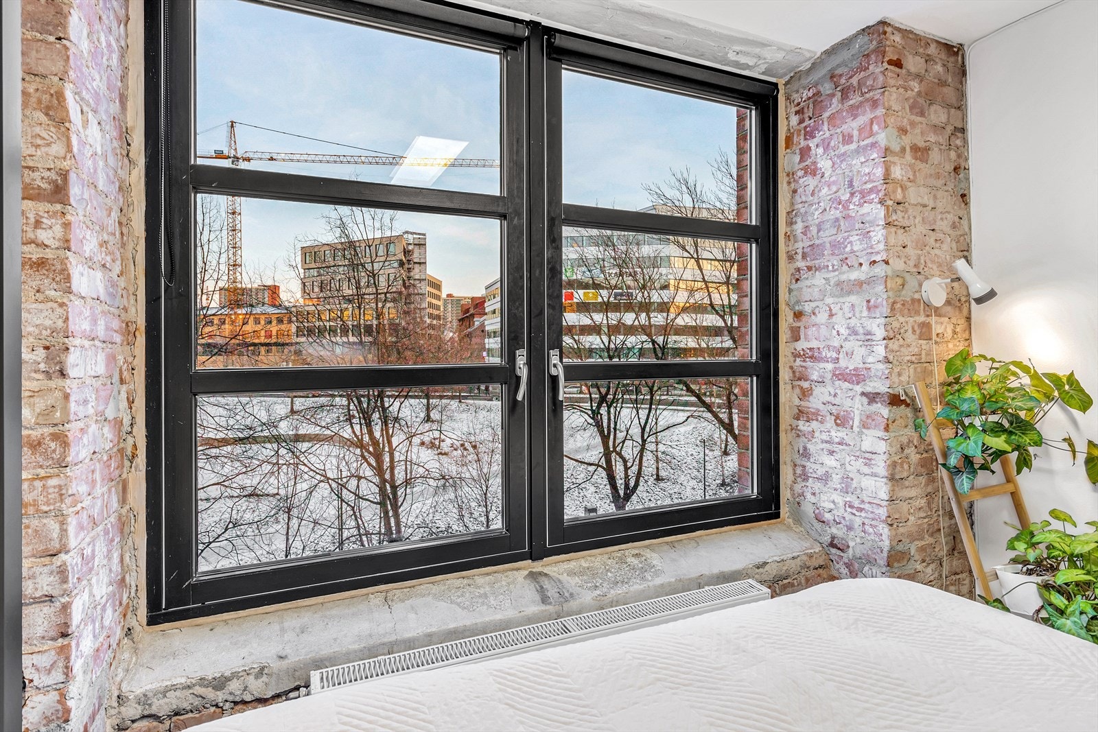 Utsikten fra vinduet går ut over Akerselva og mot Elgparken. Galleribilde