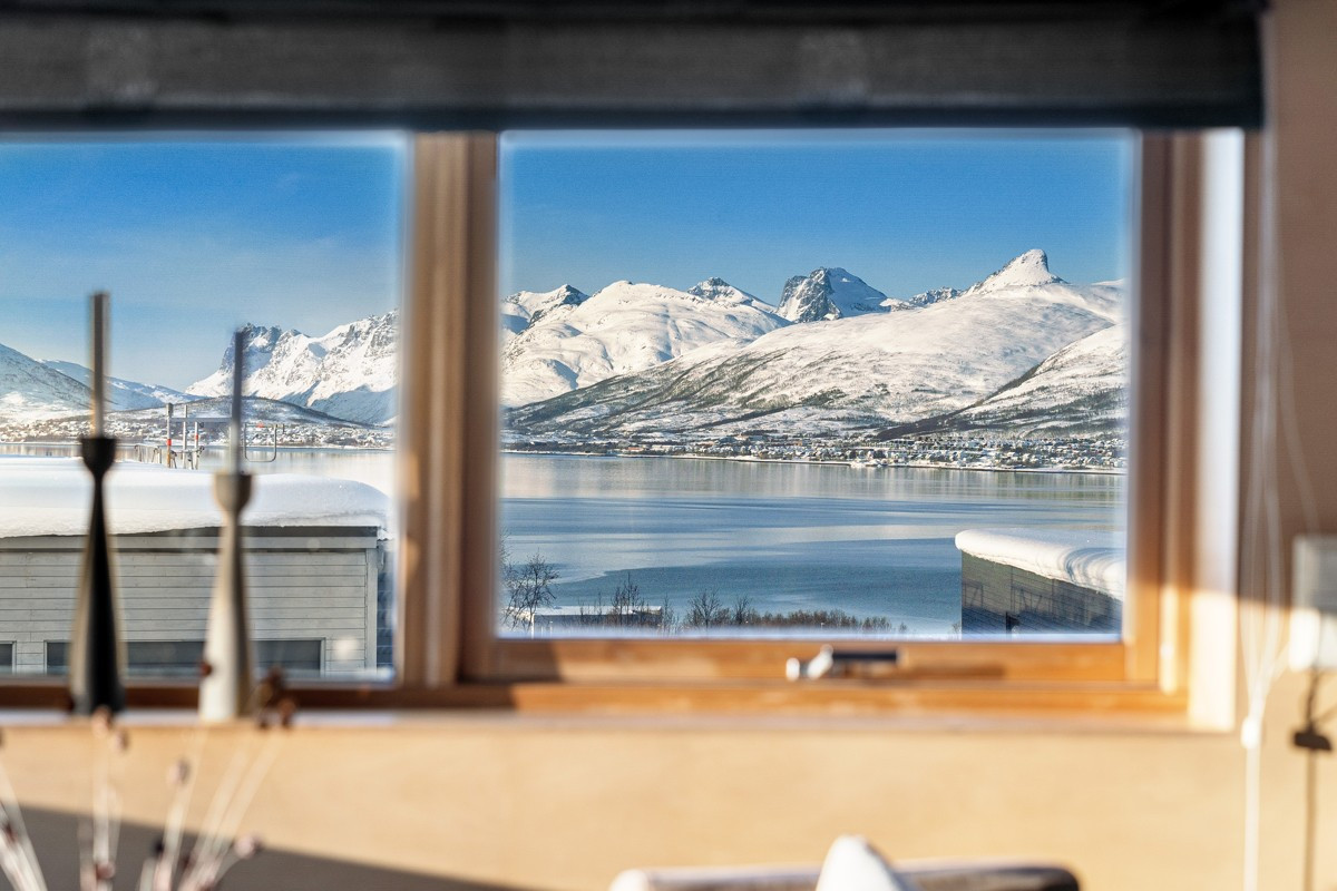 Utsikten fra stue