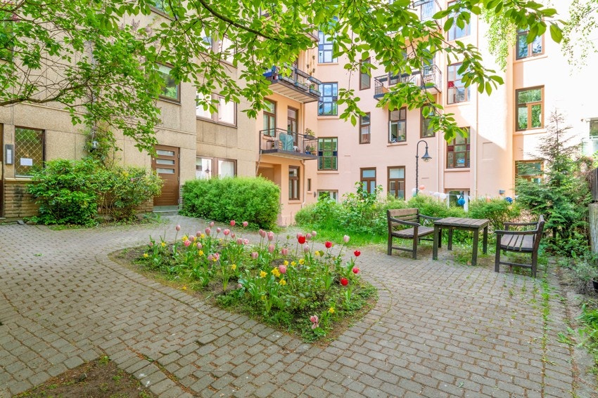 Bakgårdsbilde fra sommeren Galleribilde