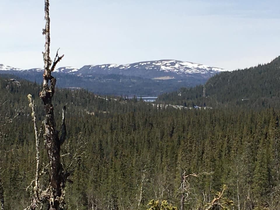 Utsikt fra tomt Galleribilde