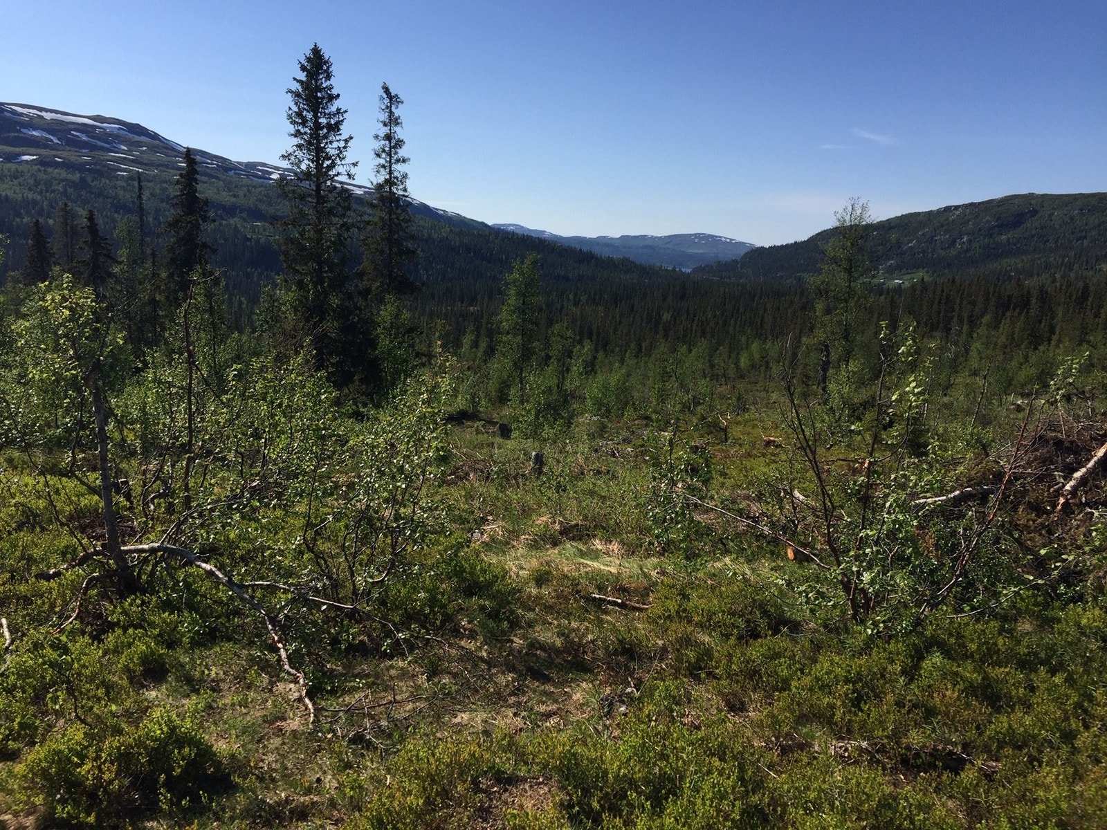 Utsikt fra tomt Galleribilde