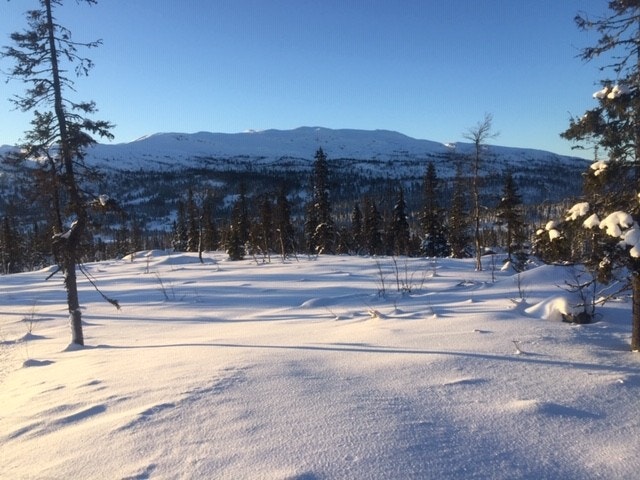 Utsikt fra tomt Galleribilde