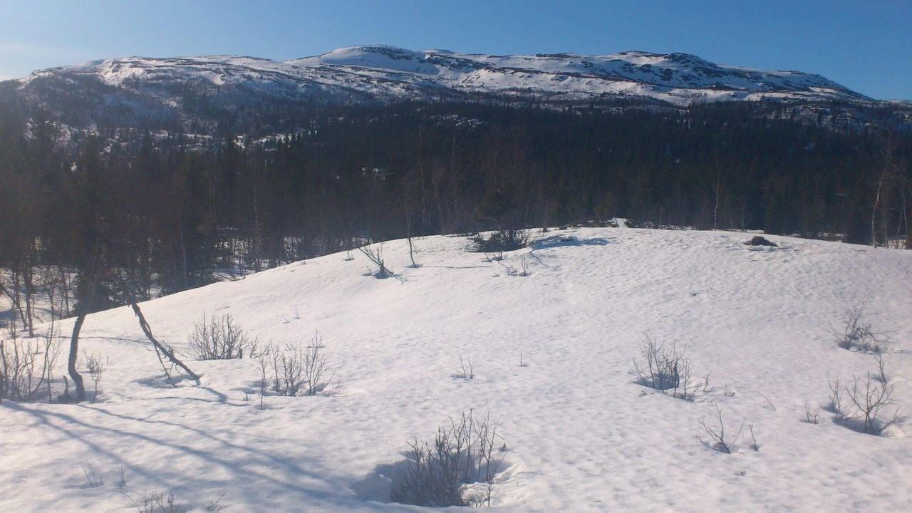 Utsikt fra tomt Galleribilde