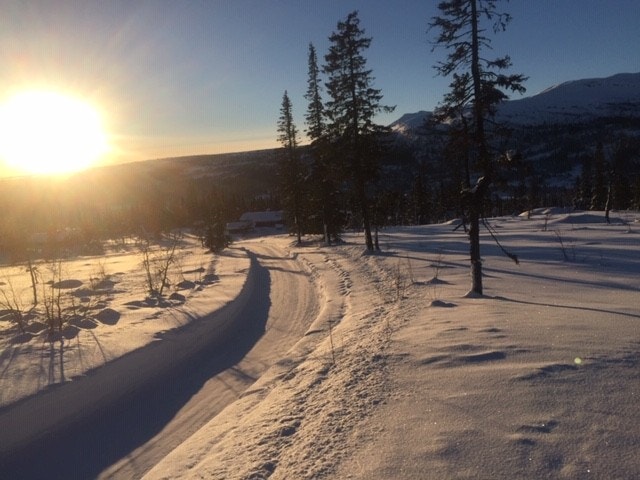 Fra tomt. Galleribilde