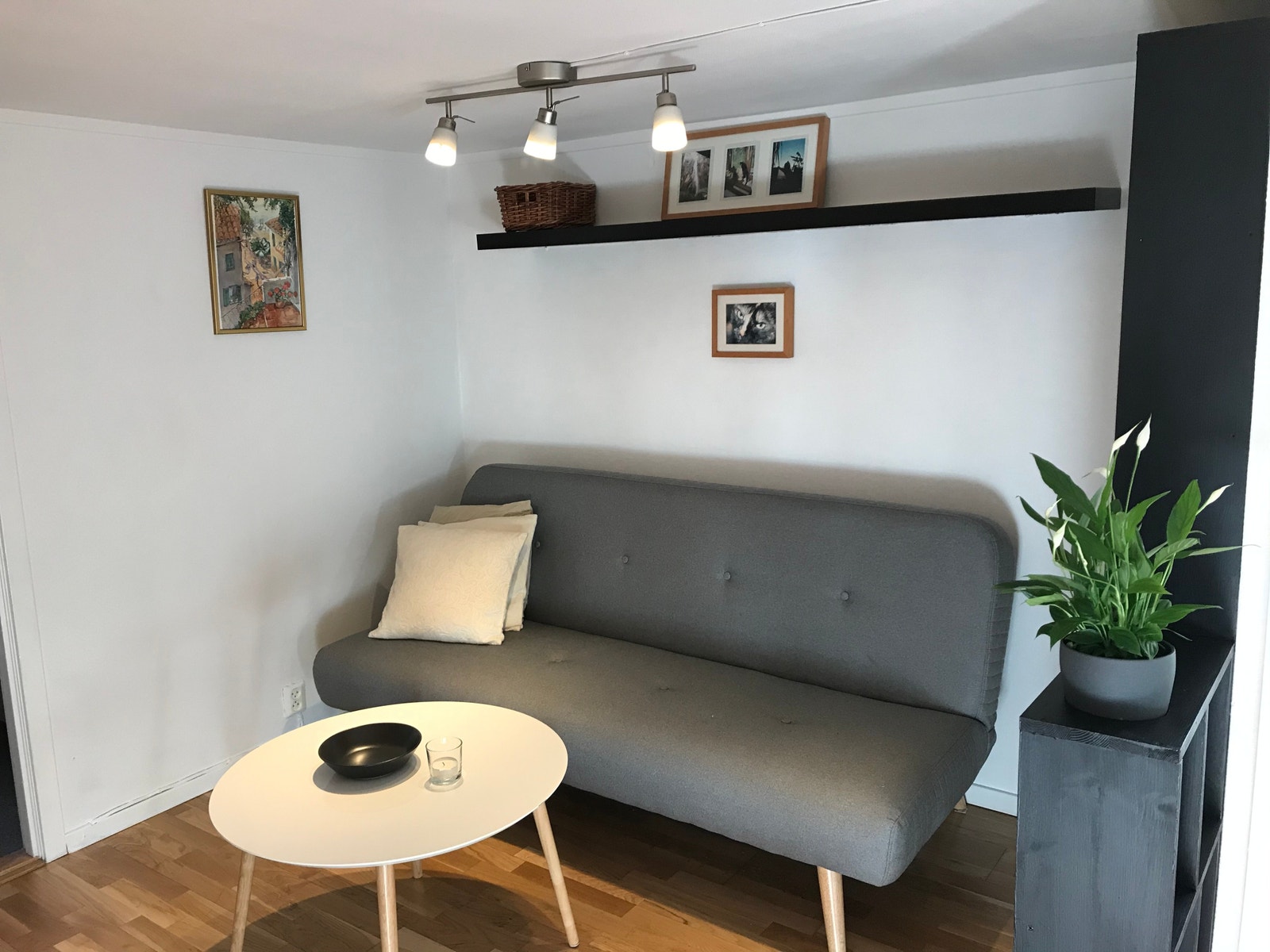 Stue med sofa som kan brukes til gjesteseng. Galleribilde