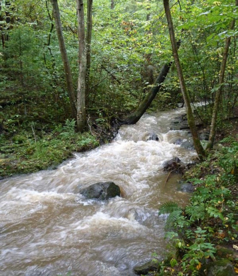 Merradalen strekker seg helt Bogstad til Radiumhospitalet og byr på en fin turvei og rekreasjon Galleribilde