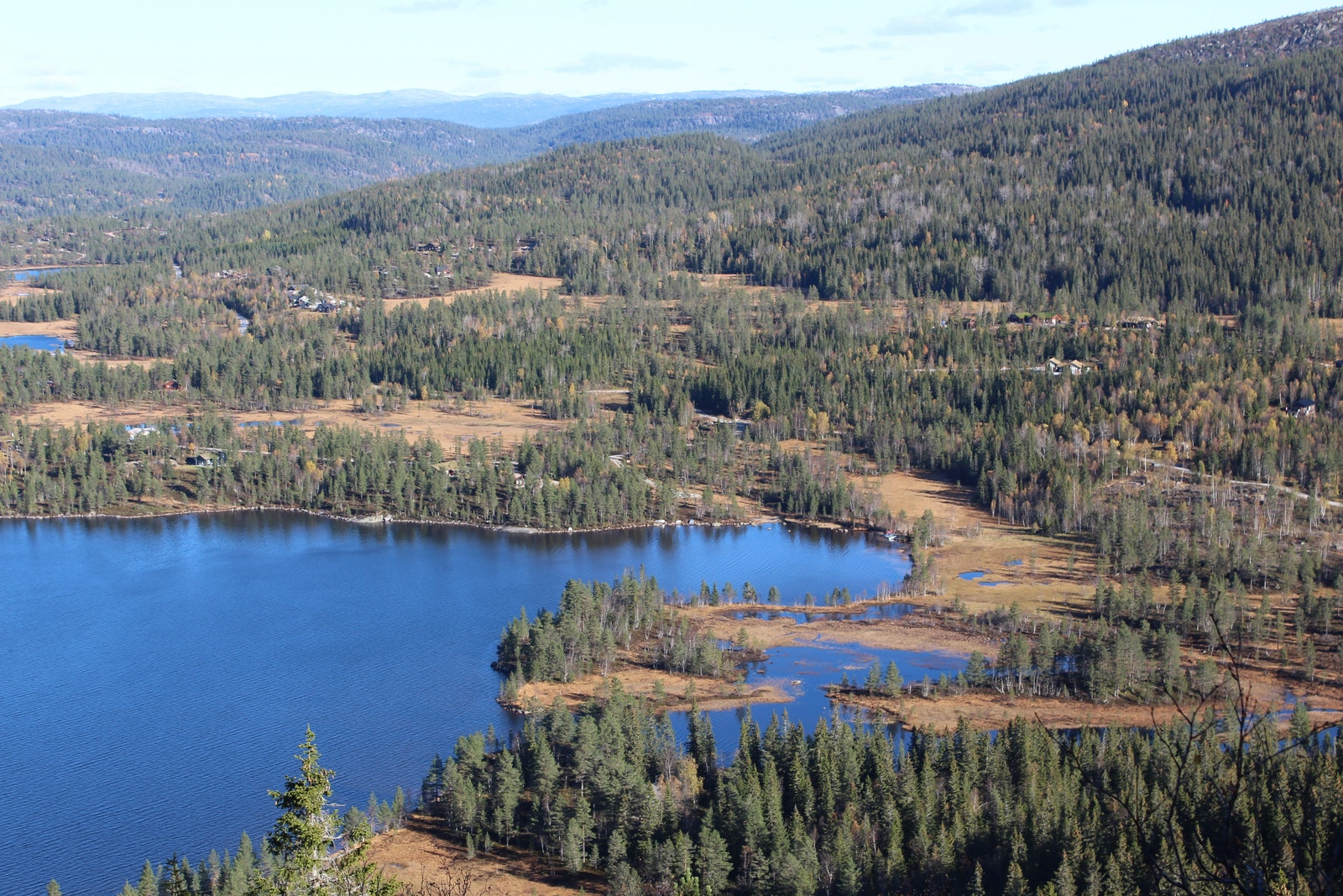 Hyttefelta sett frå Rjupeto Galleribilde