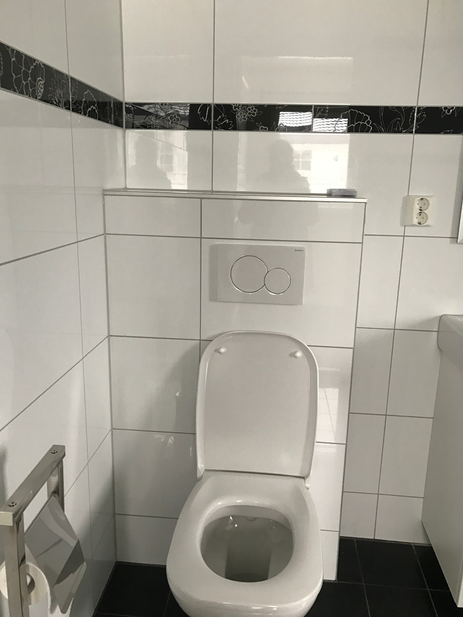 Stort toalett Galleribilde