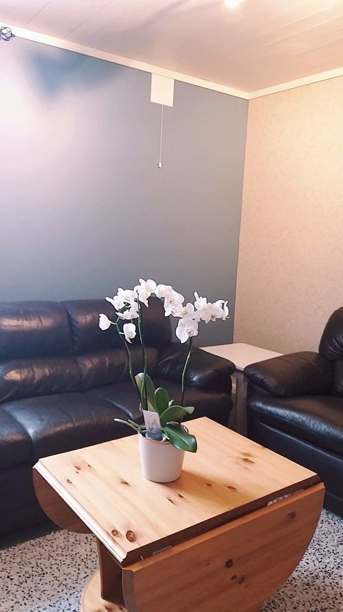 Stue midt vinkel Galleribilde