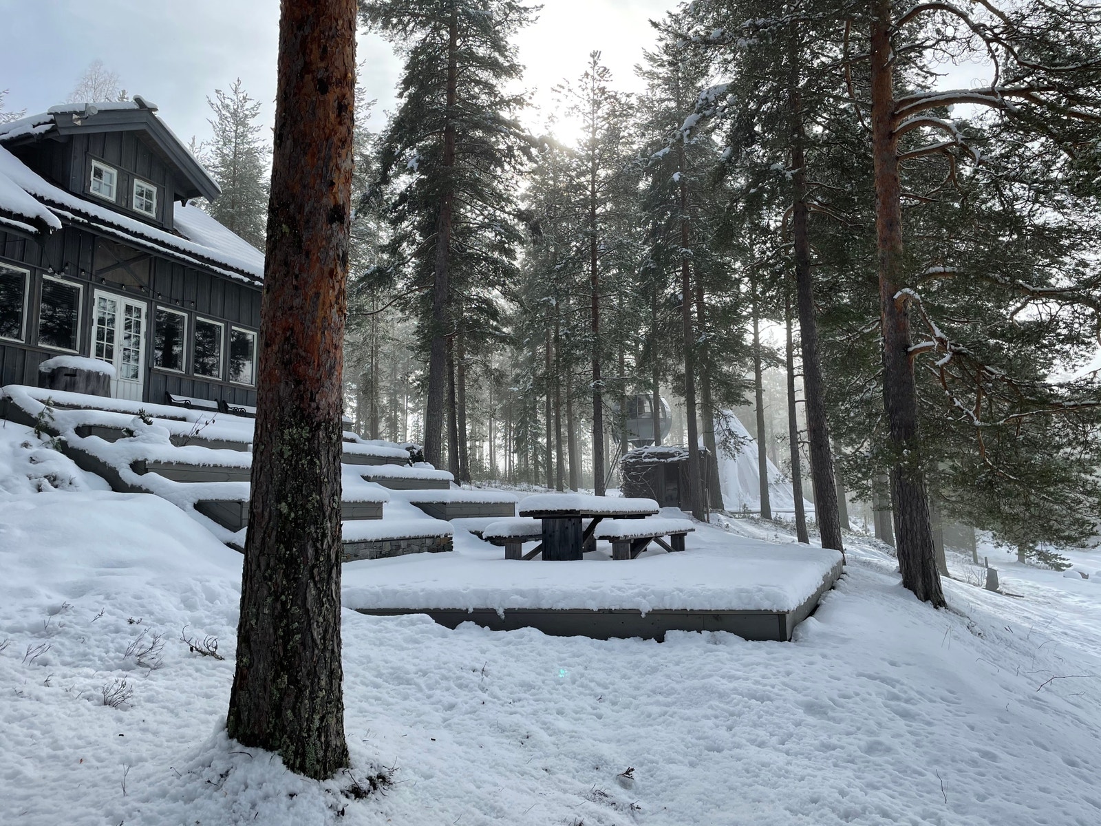 Vinter på NORD Galleribilde
