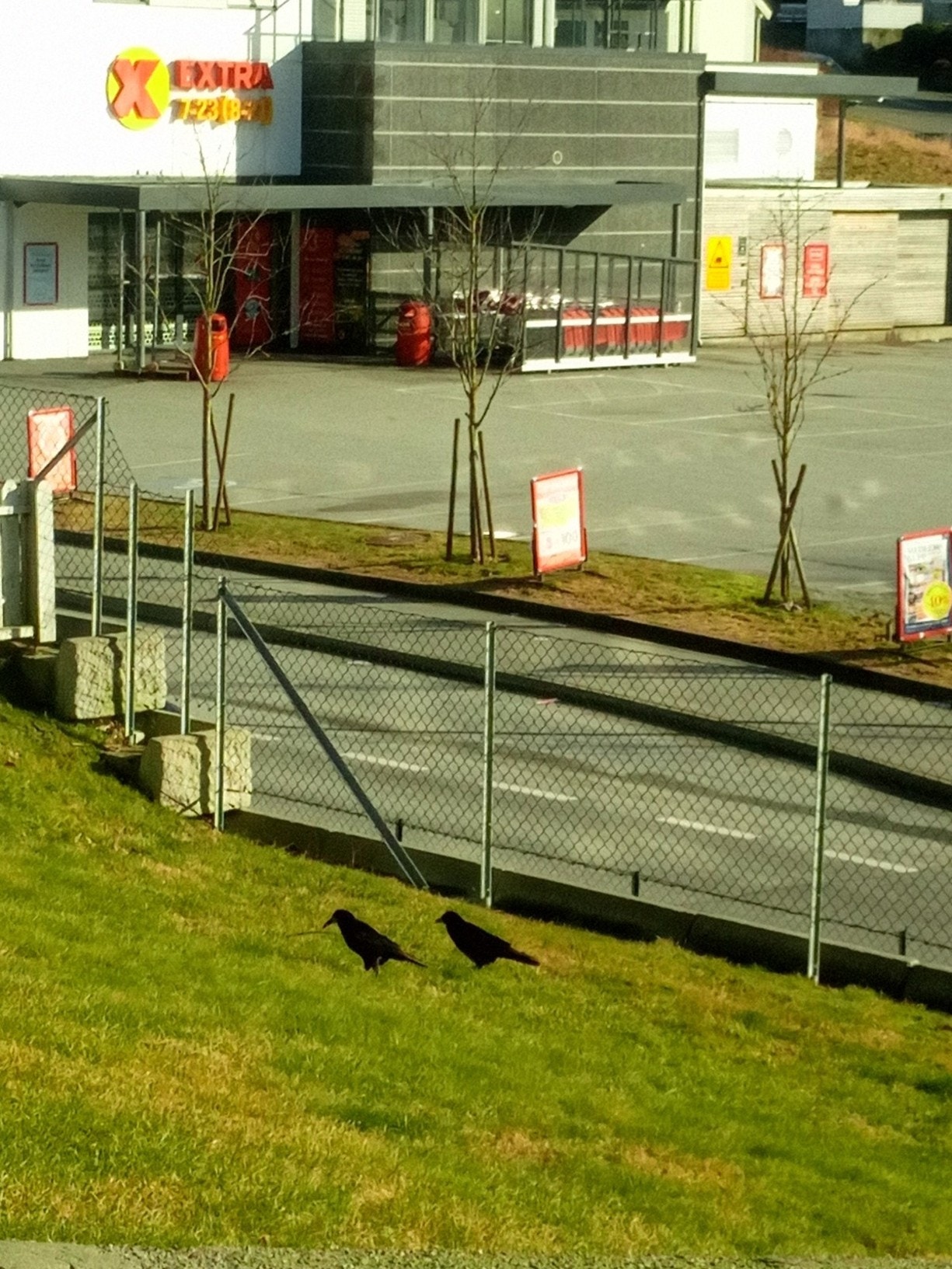 extra 50 metr fra hus Galleribilde