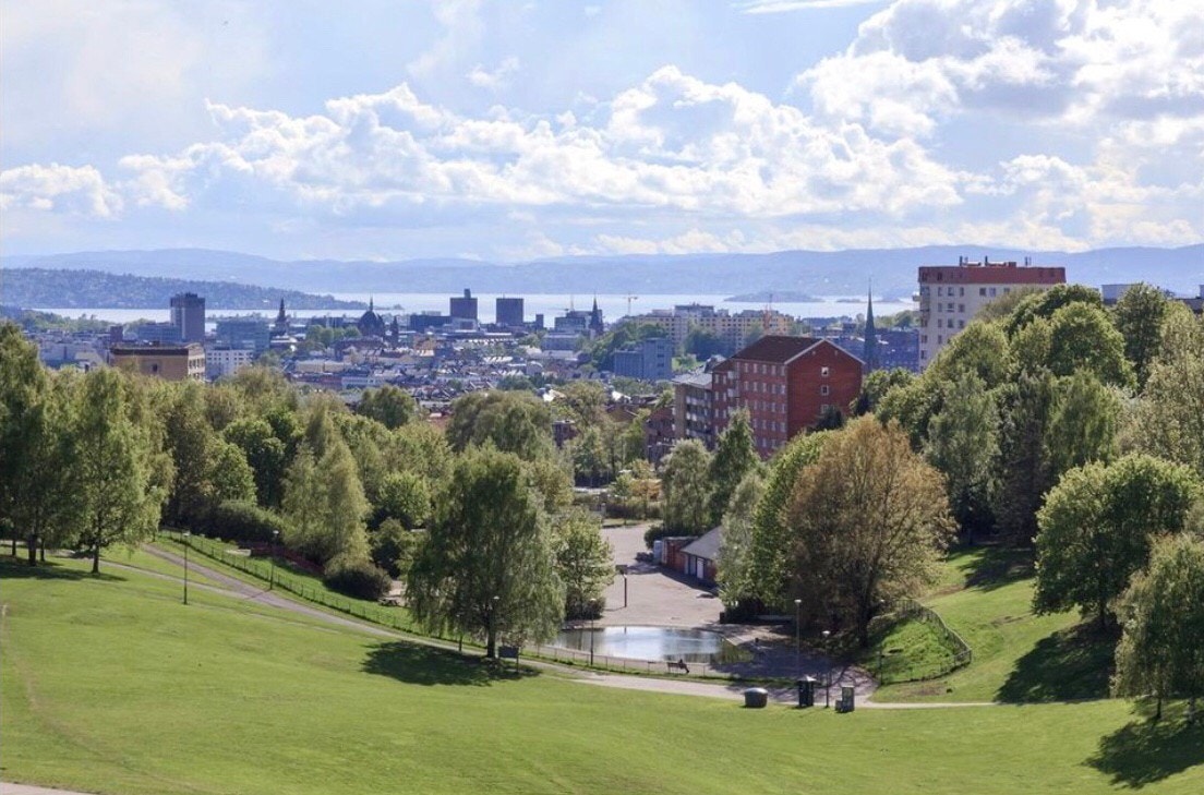 Områdebilde, Torshovdalen Galleribilde