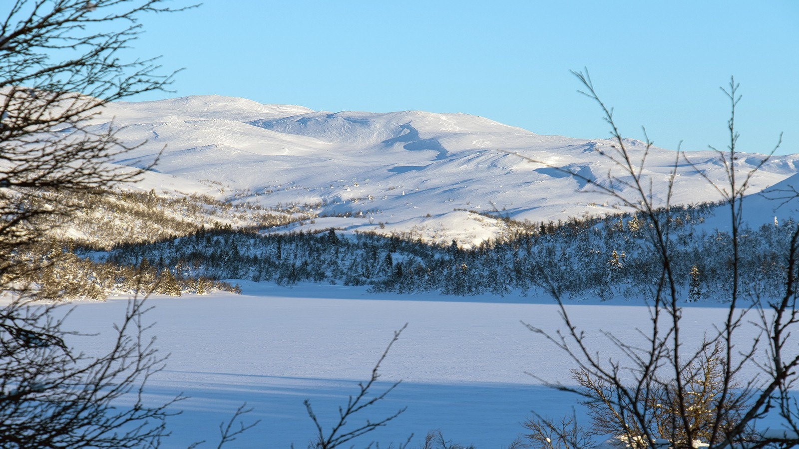 www.olsjolitoppen.no Galleribilde
