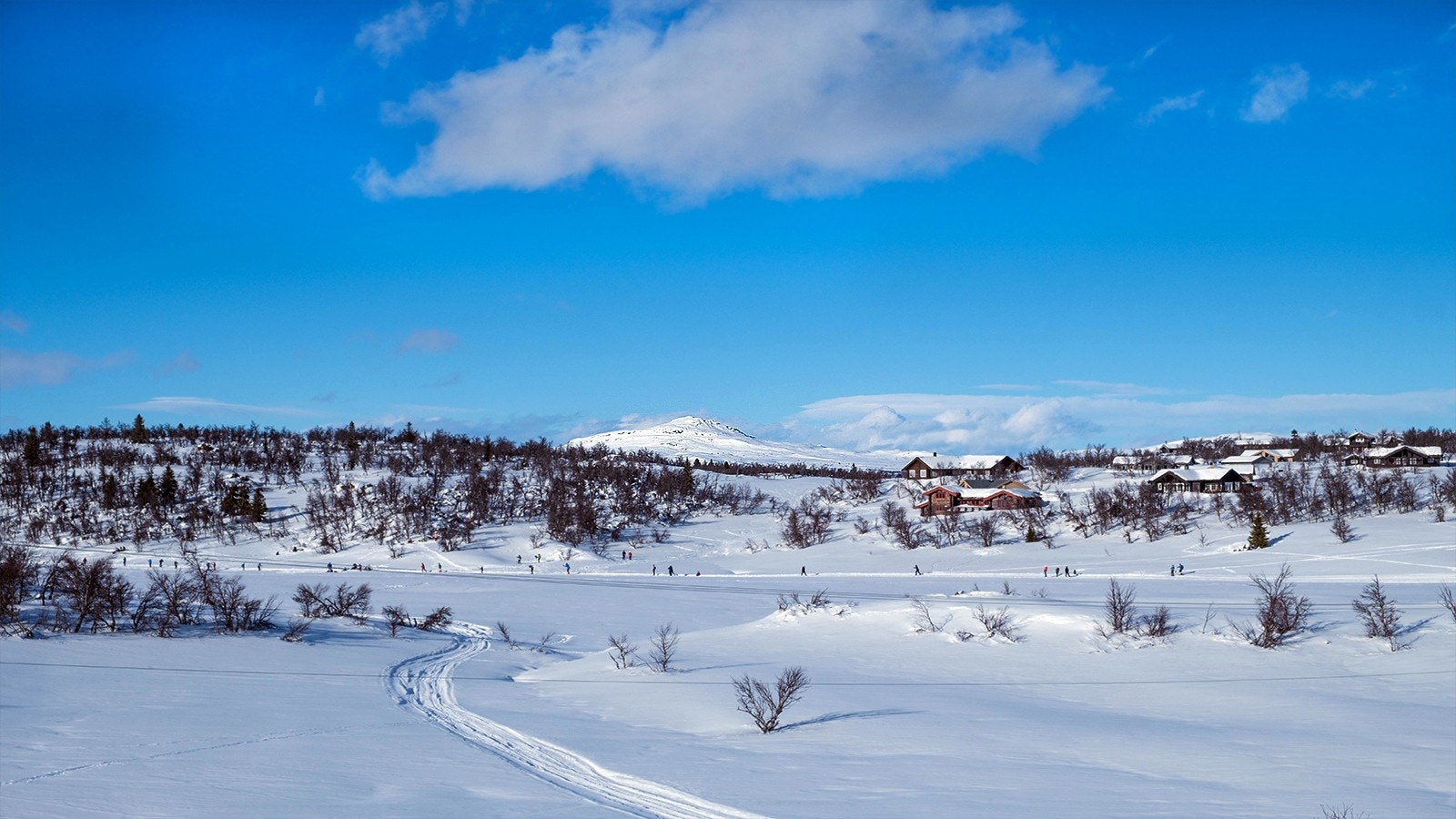 Ski inn ski ut fra Ølsjølitoppen Galleribilde