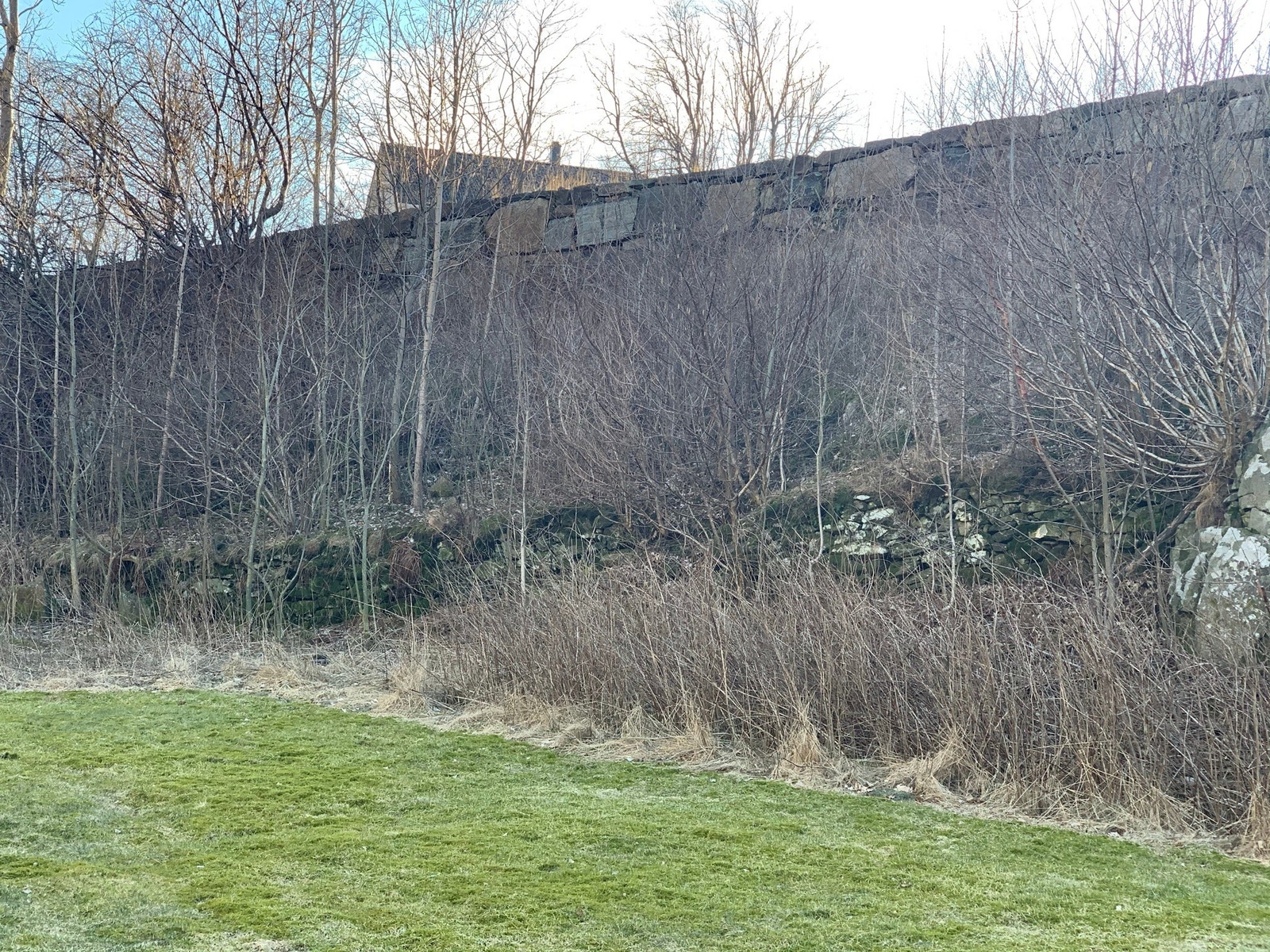Massiv steinmur rundt store deler av eiendommen.
Grensen er ikke muren, den er lengre nede, slik at en kan velge om en ønsker at trærne skal vokse opp eller kappes. Galleribilde