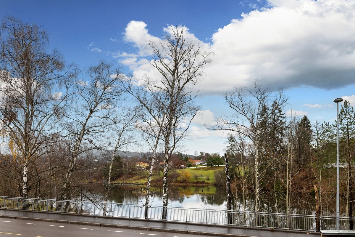 Utsikt mot Holmendammen Galleribilde