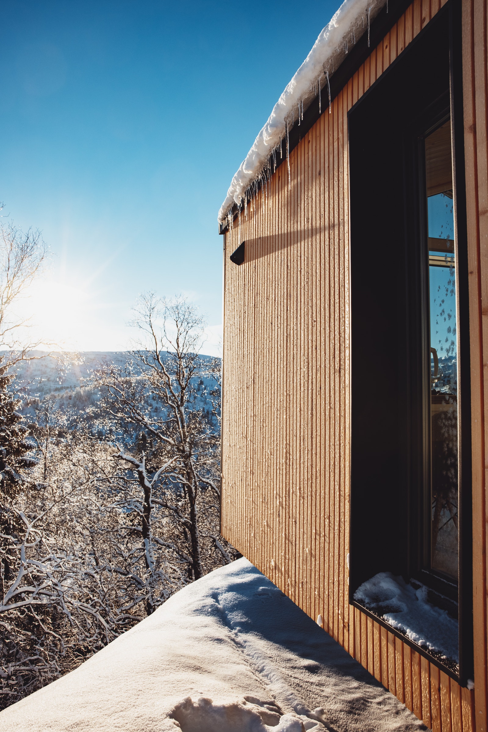 Inngangspartiet med sibirsk lerk som bryter opp fasaden. Galleribilde