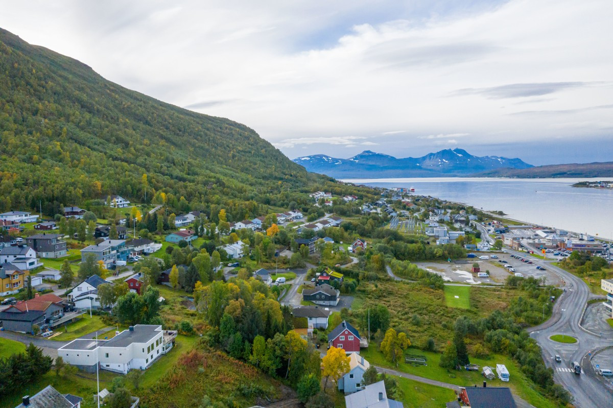 Området sett nordover.