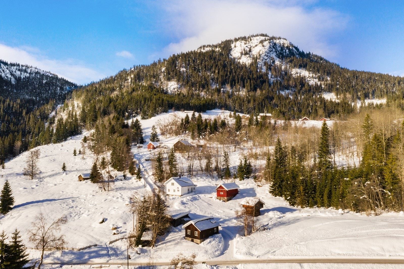 Velkommen til Rogrendvegen 206! Galleribilde