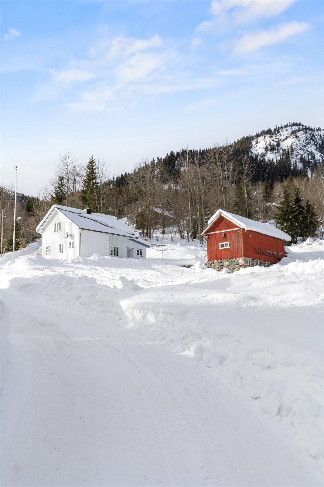 Tomten. Galleribilde