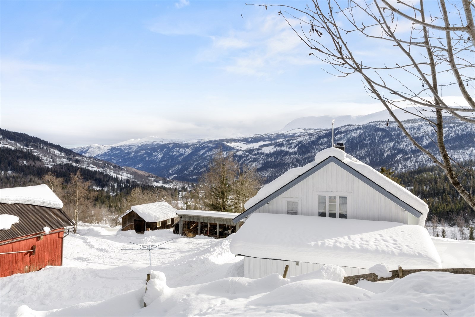 Tomten. Galleribilde