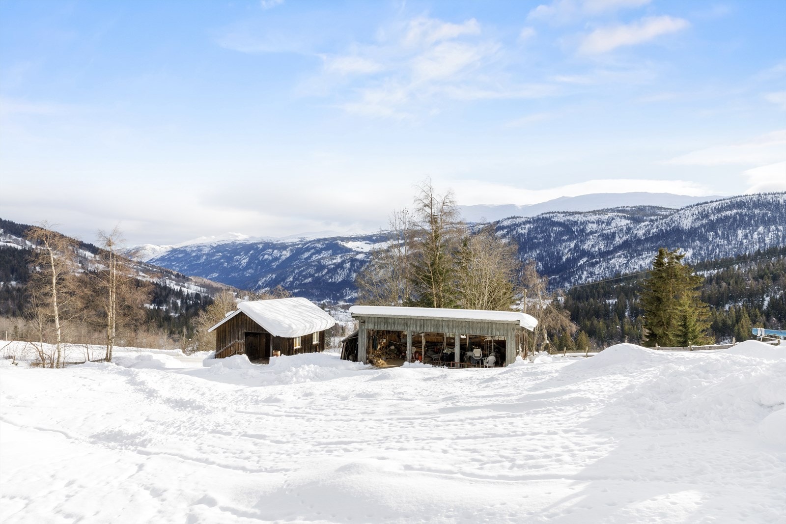 Redskapsbod og smie. Galleribilde