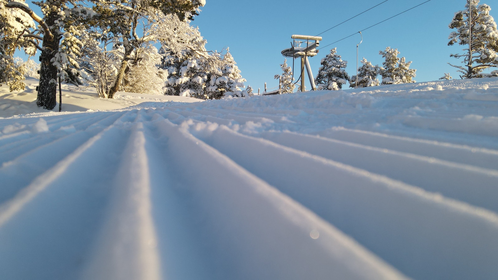 Førstesporet på corden? Galleribilde